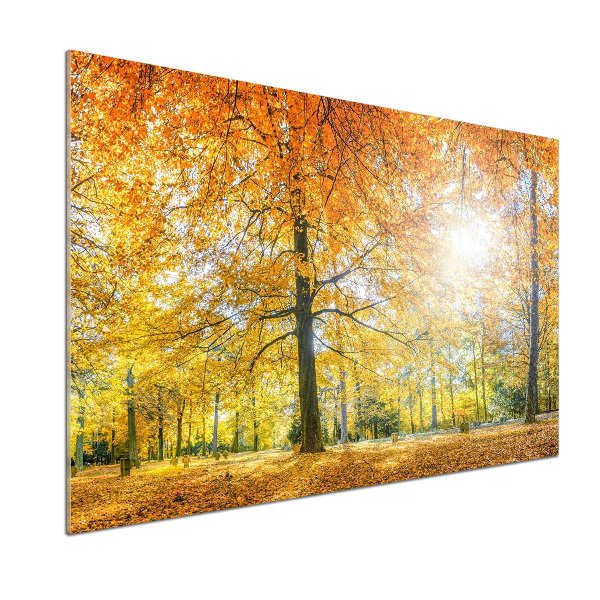 Salpicadero de cocina Bosque en otoño