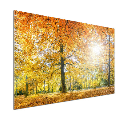 Panel dekor szkło Las jesienią