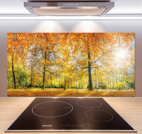 Salpicadero de cocina Bosque en otoño