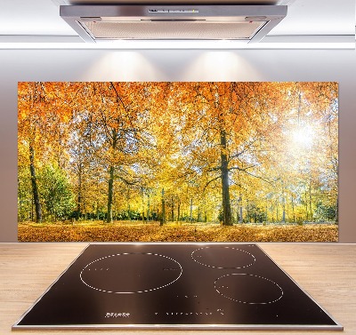 Salpicadero de cocina Bosque en otoño