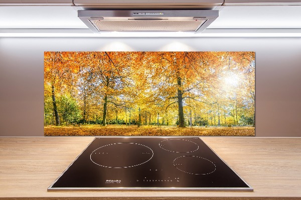 Panel dekor szkło Las jesienią