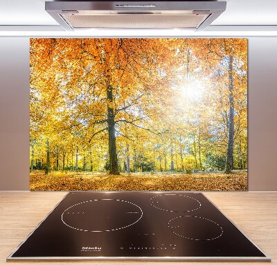 Salpicadero de cocina Bosque en otoño