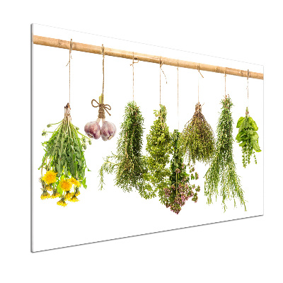 Panel para cocina Hierbas en una cuerda