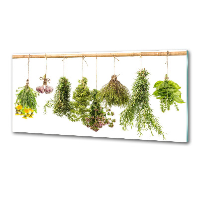 Panel para cocina Hierbas en una cuerda