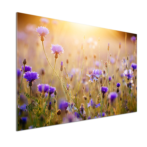 Salpicadero de cocina Flores silvestres