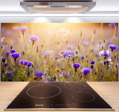 Panel dekor szkło Polne kwiaty