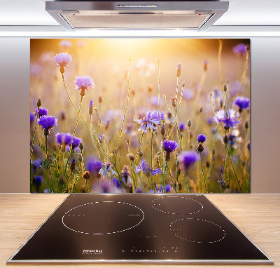 Panel dekor szkło Polne kwiaty