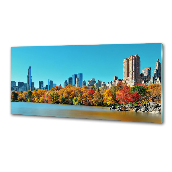 Panel para cocina Nueva York en otoño