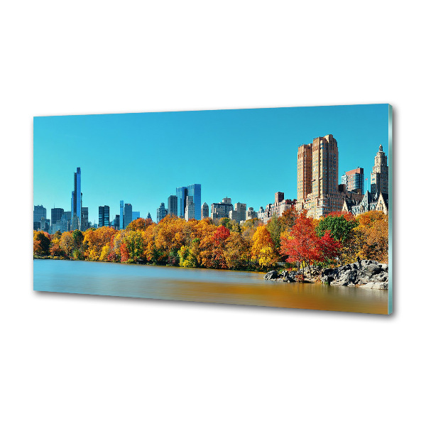 Panel para cocina Nueva York en otoño