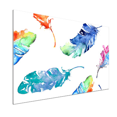 Panel do kuchni Kolorowe piórka