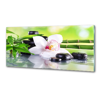 Salpicadero para cocina Orquídea