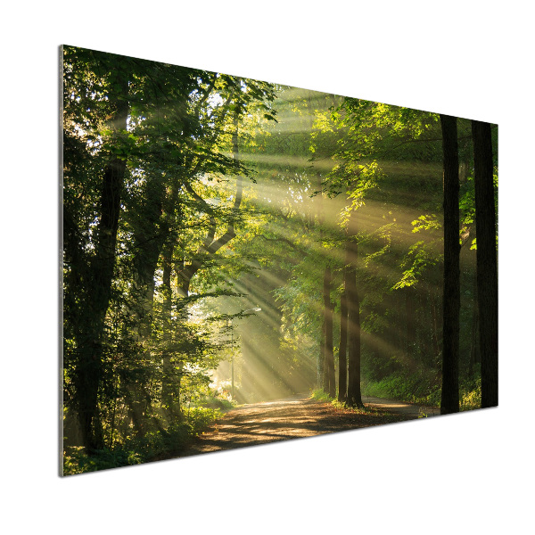 Salpicadero para cocina Bosque al sol