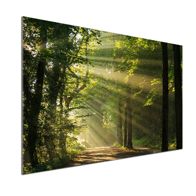 Salpicadero para cocina Bosque al sol