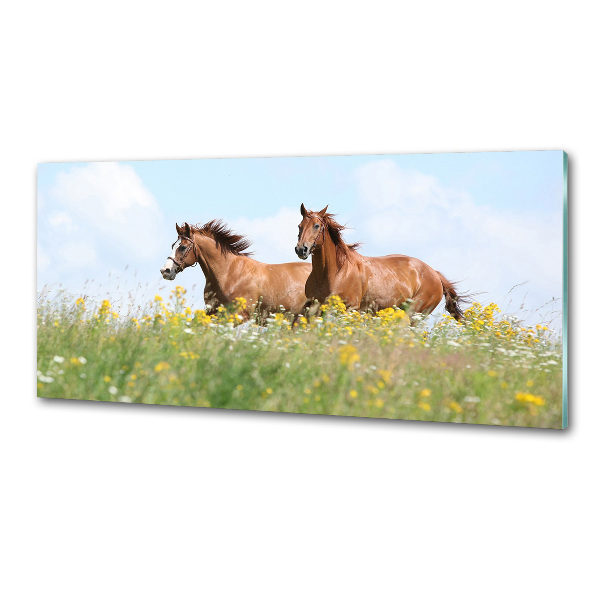 Salpicadero para cocina Dos caballos galopando