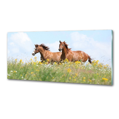 Salpicadero para cocina Dos caballos galopando