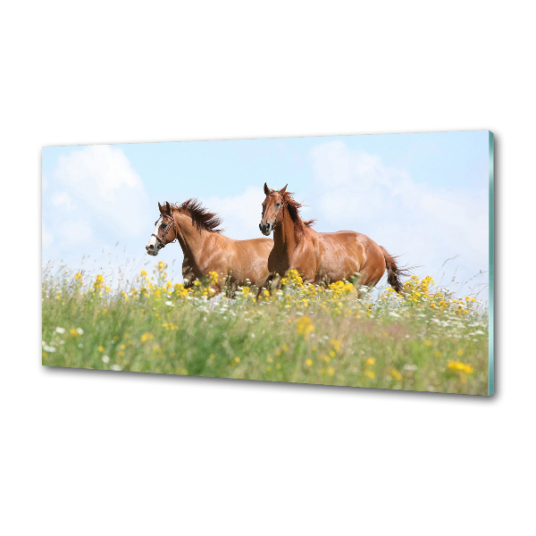 Salpicadero para cocina Dos caballos galopando