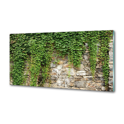 Panel antisalpicaduras Hiedra verde