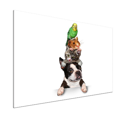 Salpicadero de cocina Un grupo de animales