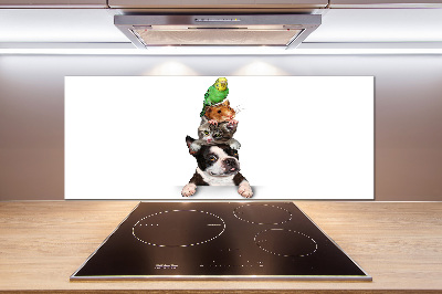 Panel do kuchni Grupa zwierząt