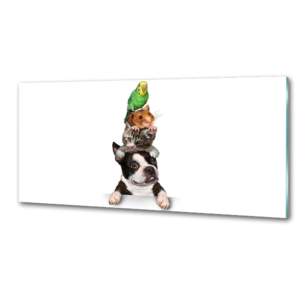 Salpicadero de cocina Un grupo de animales