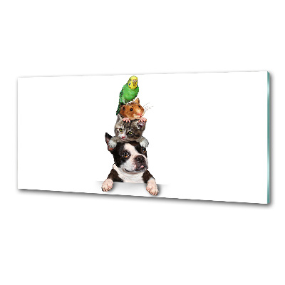 Salpicadero de cocina Un grupo de animales