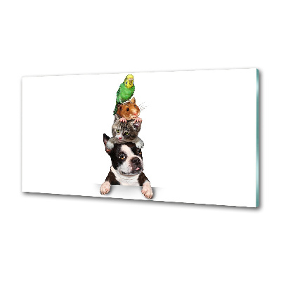 Salpicadero de cocina Un grupo de animales