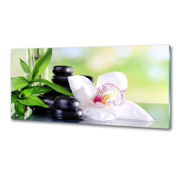 Panel de pared de cocina Orquídea