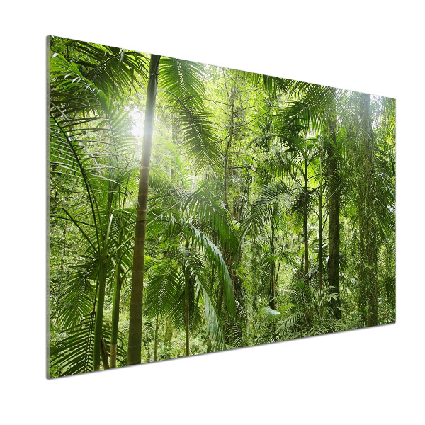 Panel antisalpicaduras Bosque tropical