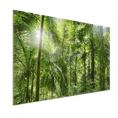 Panel antisalpicaduras Bosque tropical