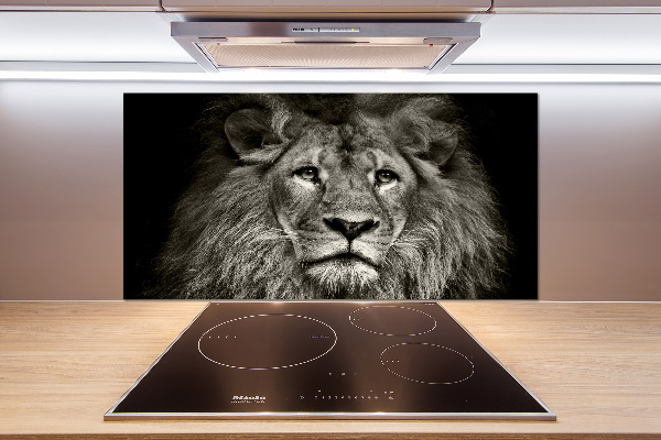 Panel antisalpicaduras León