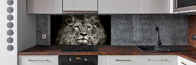 Panel antisalpicaduras León