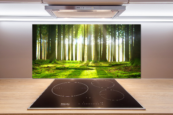 Panel para cocina Bosque al sol