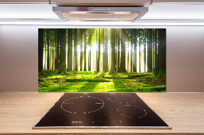 Panel para cocina Bosque al sol