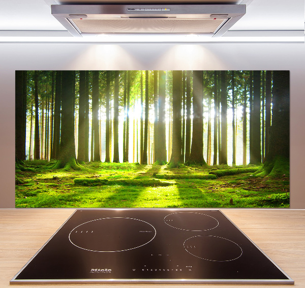Panel para cocina Bosque al sol