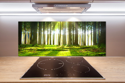 Panel para cocina Bosque al sol