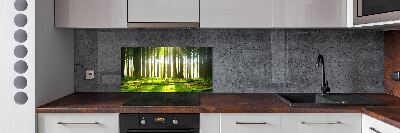 Panel para cocina Bosque al sol