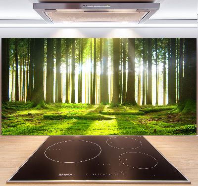 Panel para cocina Bosque al sol
