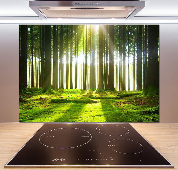 Panel para cocina Bosque al sol