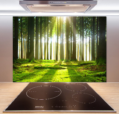 Panel para cocina Bosque al sol
