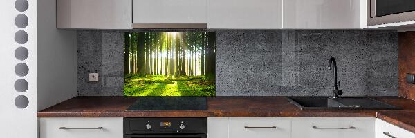 Panel para cocina Bosque al sol