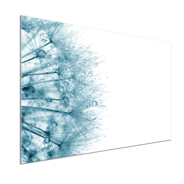 Panel para cocina Diente de león