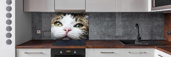 Salpicadero para cocina Ojos de gato verdes