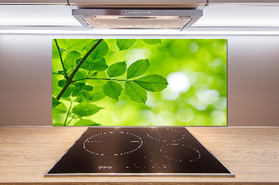 Panel de pared de cocina hojas verdes