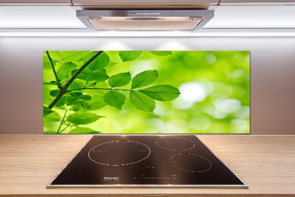 Panel de pared de cocina hojas verdes