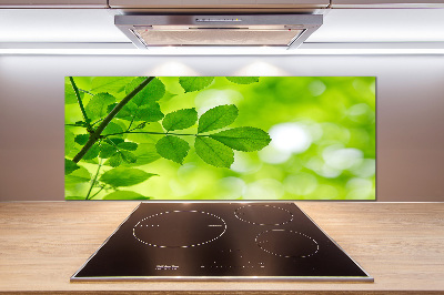 Panel de pared de cocina hojas verdes