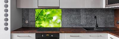 Panel de pared de cocina hojas verdes