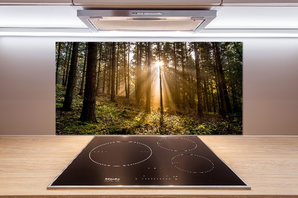 Salpicadero de cocina Luz del sol