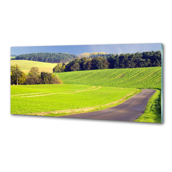 Panel de pared de cocina Camino de tierra