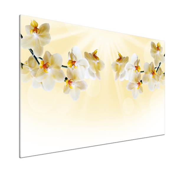 Panel antisalpicaduras Orquídea