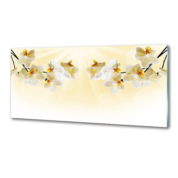 Panel antisalpicaduras Orquídea